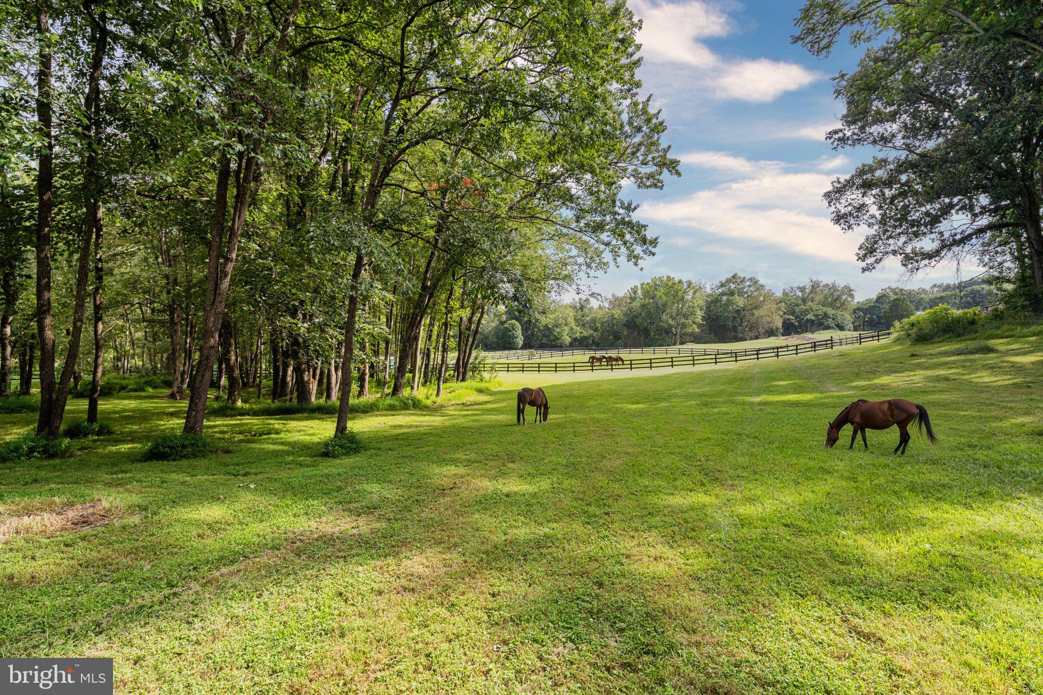 5352 Dixons Mill Road Marshall, VA 20115 - Photo 54 of 56 Horse paddock space