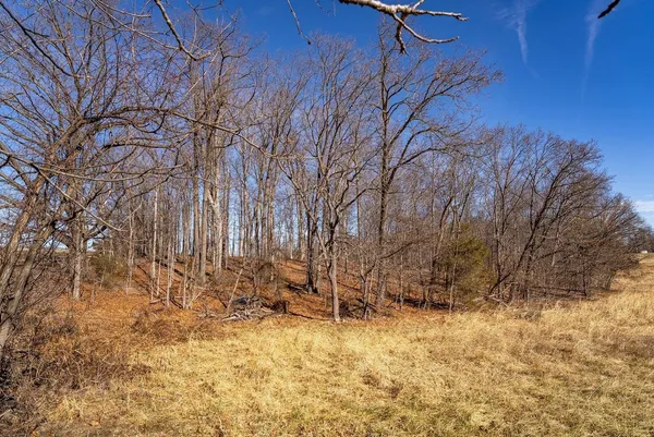 a view of yard covered with snow