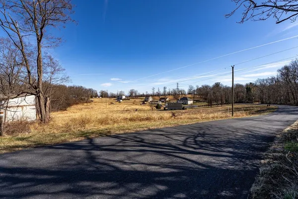 a view of yard with large tree