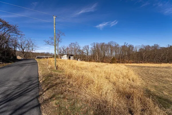 a view of a yard with trees and a wooden fence