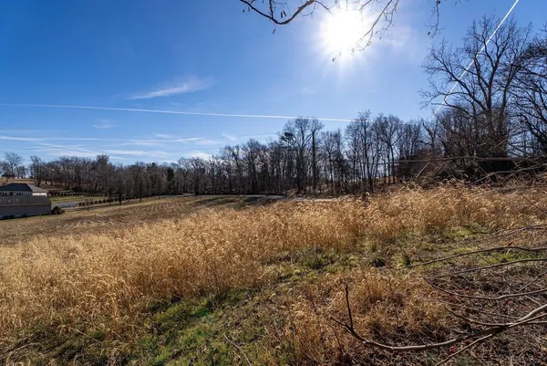 a view of a yard of the house