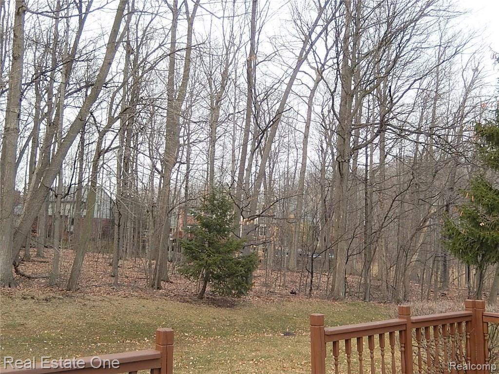 45738 Cider Mill Road Novi, MI 48374 - Photo 24 of 24 DSCN5249 (2).JPG