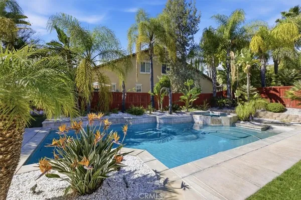 a view of a yard with plants