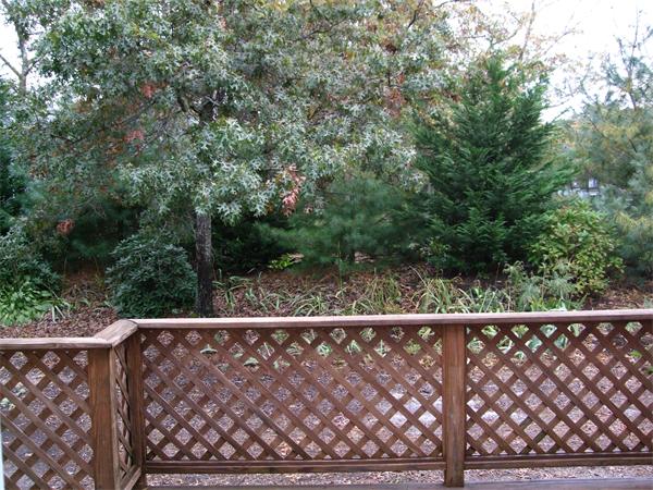 104 P Shellback Way, Unit 104 Mashpee, MA 02649 - Photo 2 of 14 Gallery Image 2
