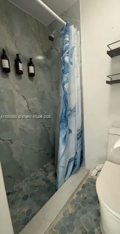 a bathroom with a shower and a toilet
