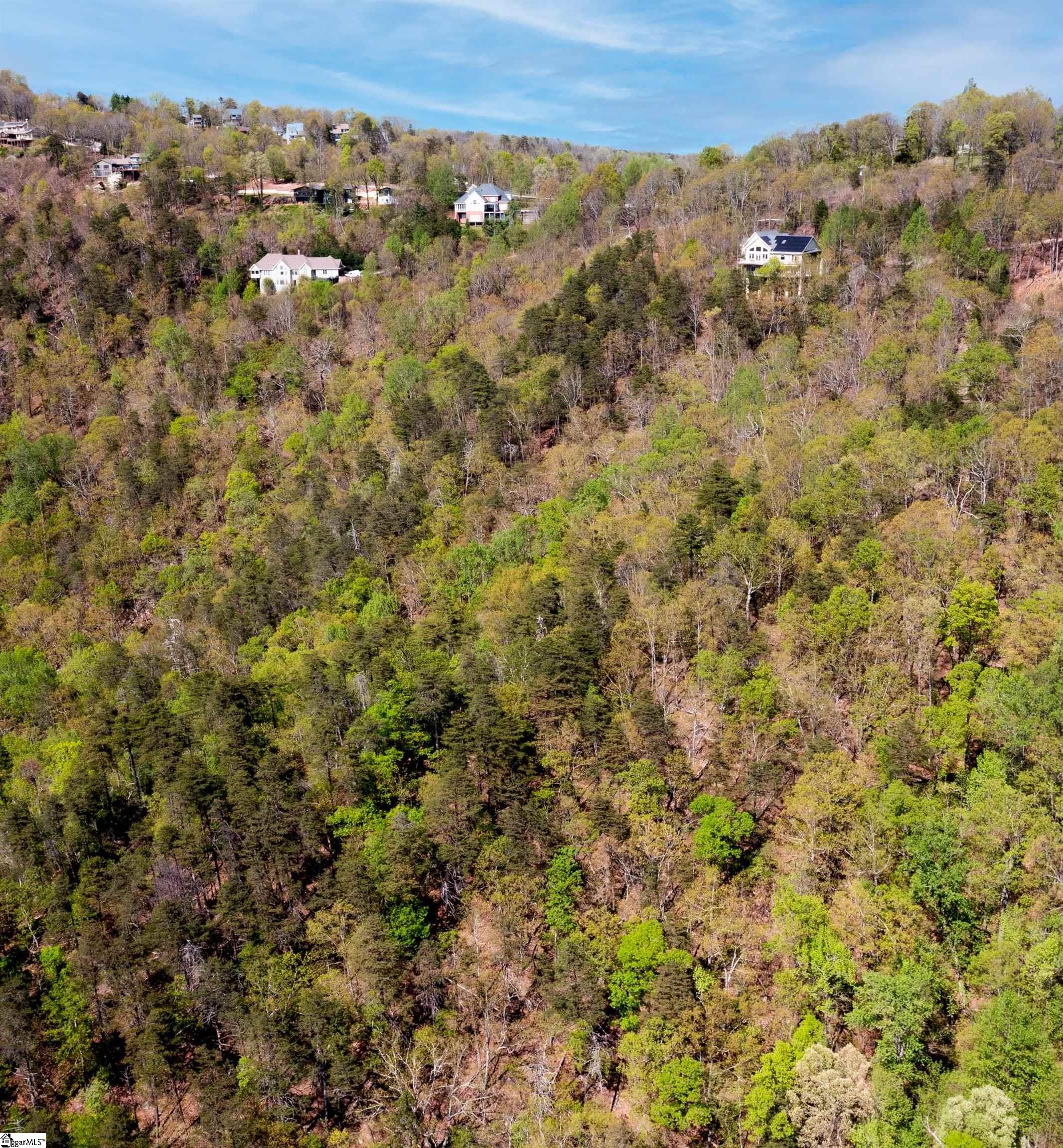 5/6 Sc 29609 Road Greenville, SC 29609 - Photo 8 of 12