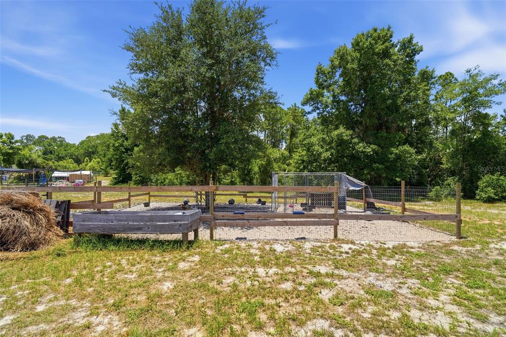 7242 Black Road Lake Wales, FL 33898 - Photo 28 of 38