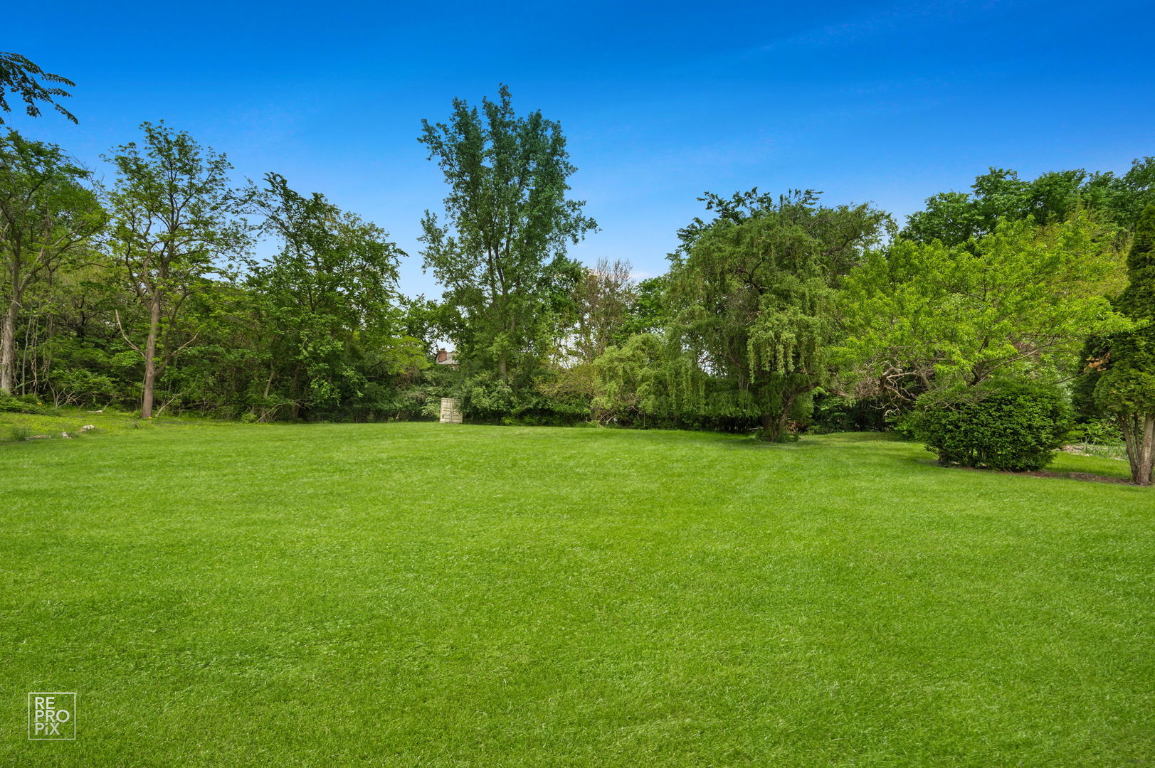 10S641 South Garfield Street Burr Ridge, IL 60527 - Photo 10 of 15 a view of a field of grass and trees