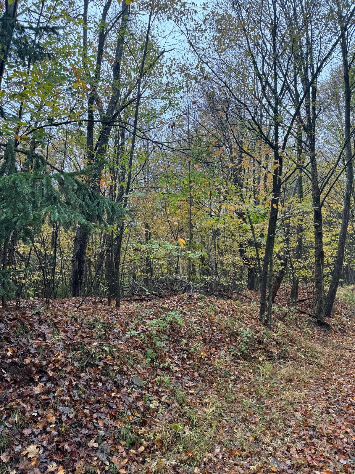 83 Berry Road Sanford, NY 13813 - Photo 5 of 10 Gallery Image 5
