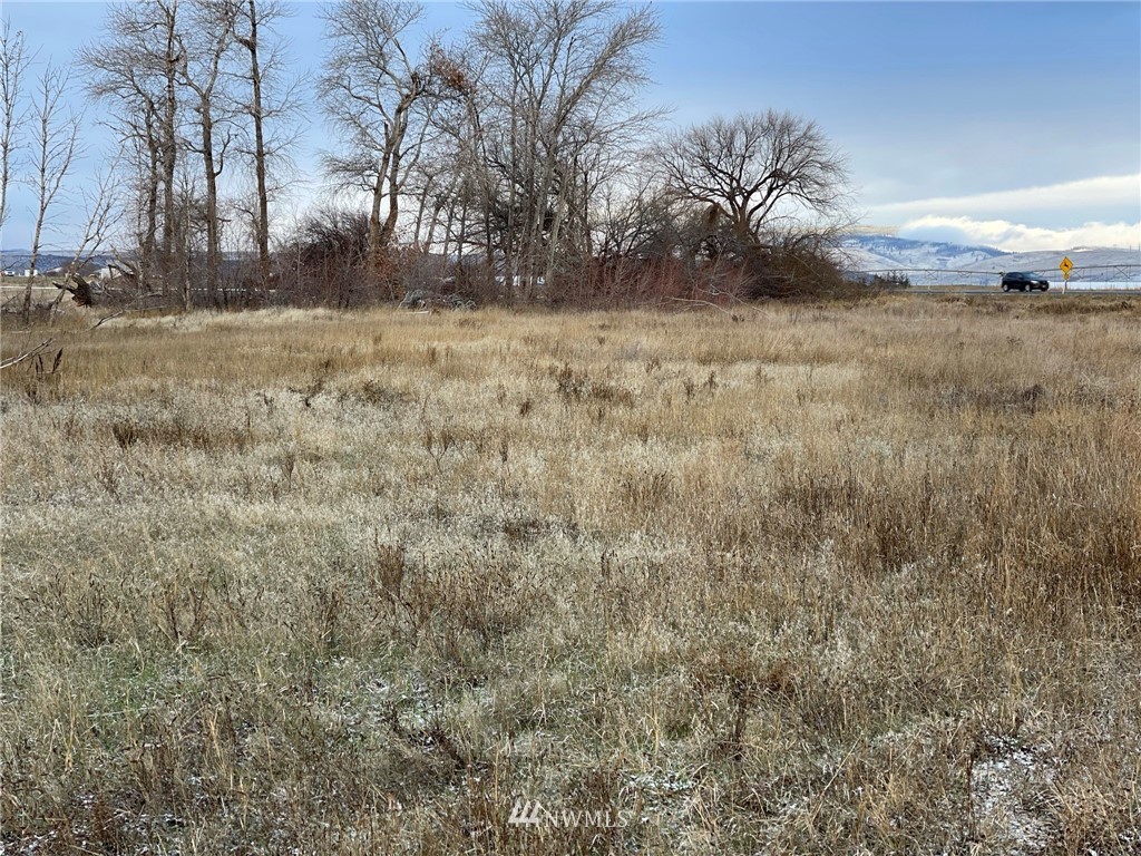 2233 Thorp Cemetery Road Thorp, WA 98946 - Photo 23 of 34 Gallery Image 23
