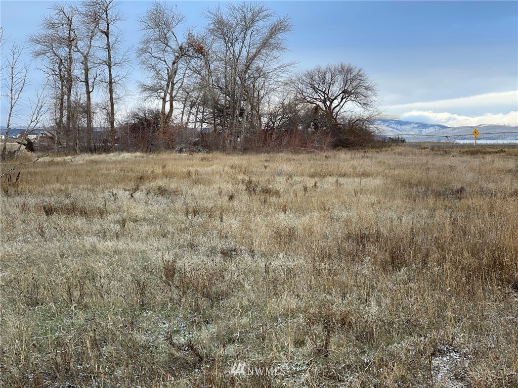 2233 Thorp Cemetery Road Thorp, WA 98946 - Photo 24 of 34 Gallery Image 24
