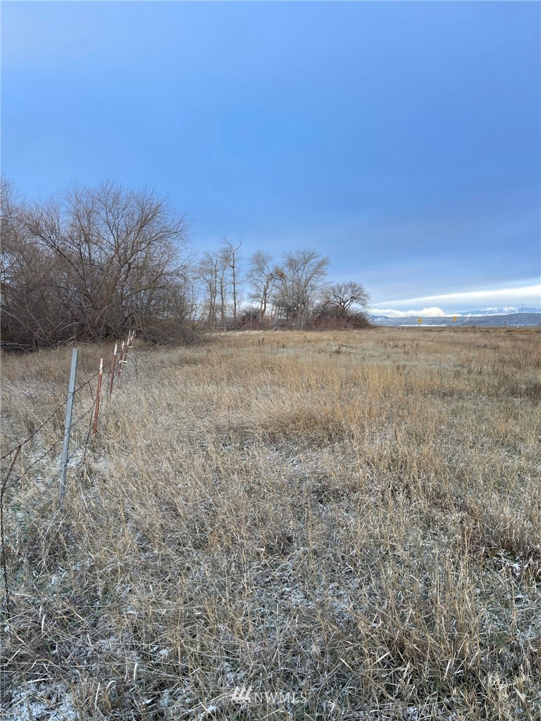2233 Thorp Cemetery Road Thorp, WA 98946 - Photo 27 of 34 Gallery Image 27