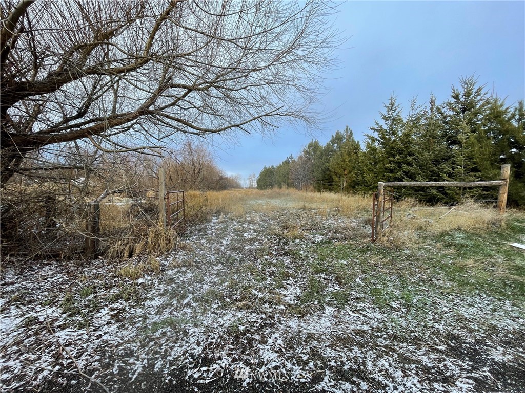 2233 Thorp Cemetery Road Thorp, WA 98946 - Photo 29 of 34 Gallery Image 29