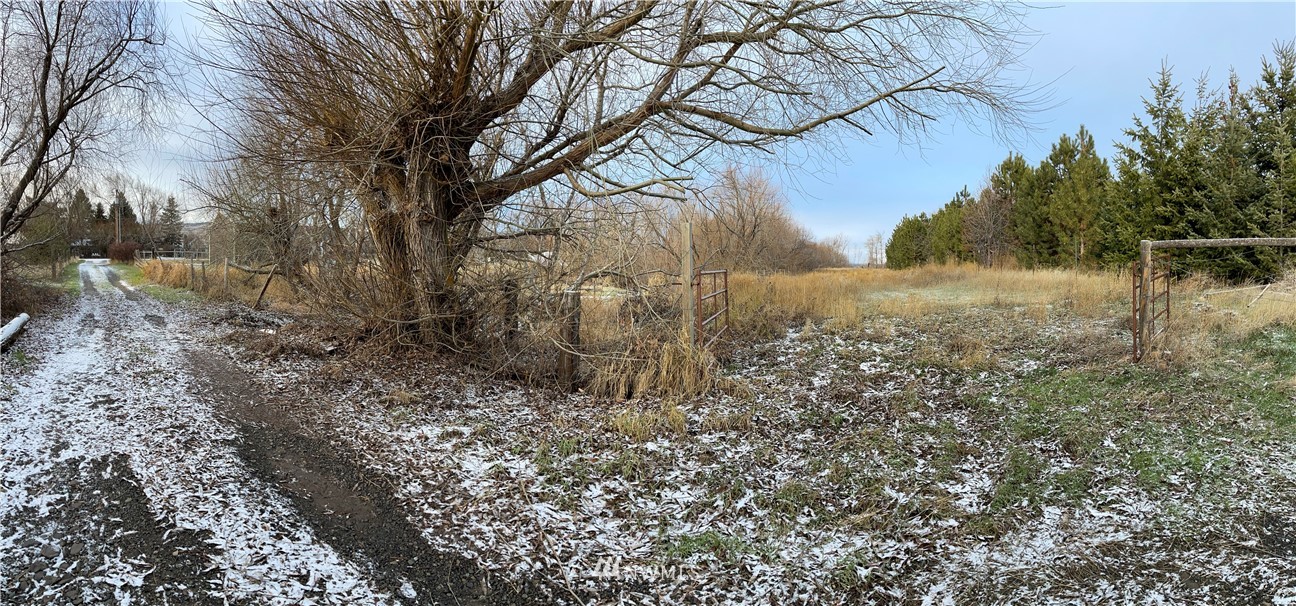 2233 Thorp Cemetery Road Thorp, WA 98946 - Photo 31 of 34 Gallery Image 31