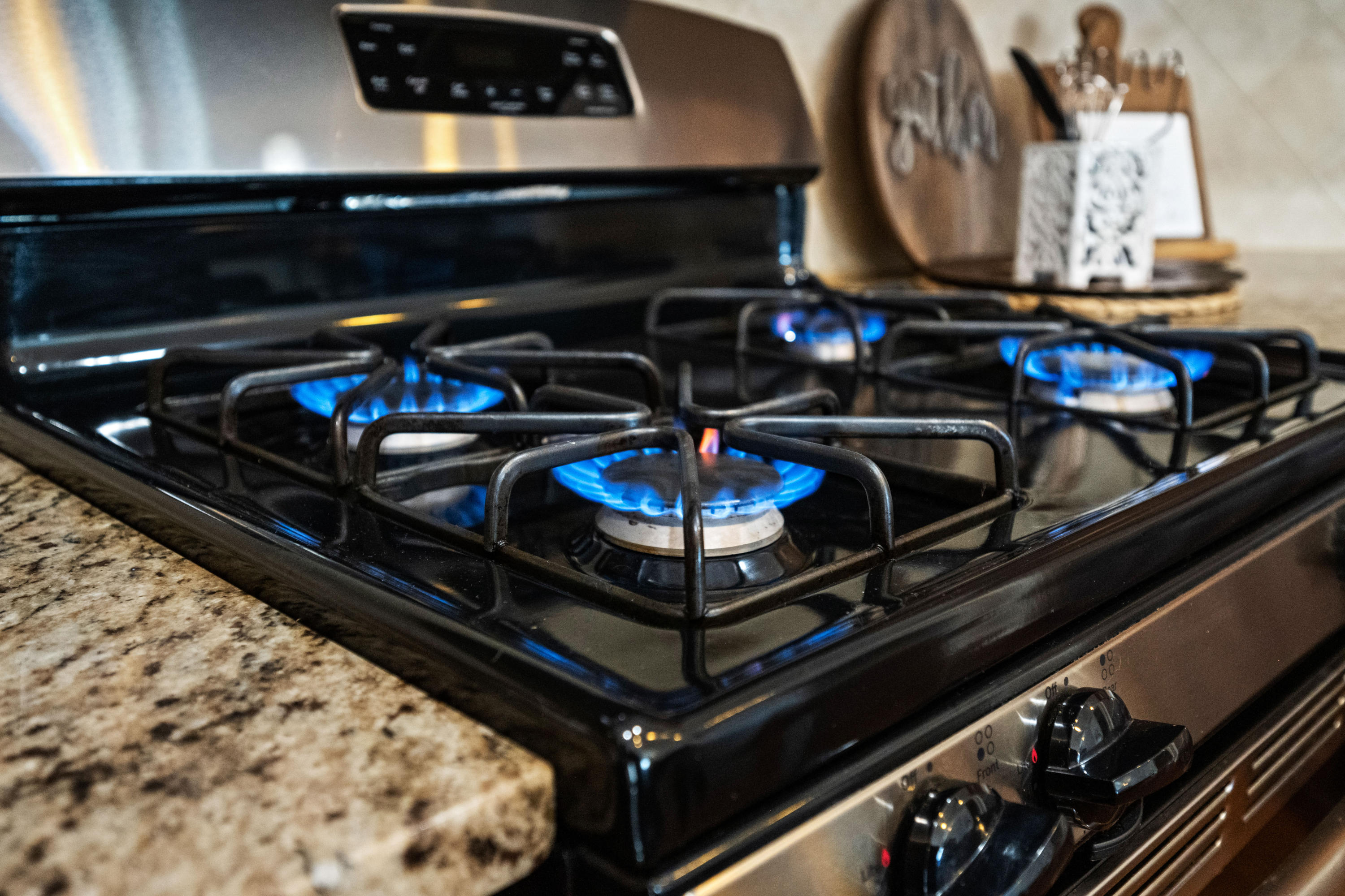 327 Beautyberry Road Summerville, SC 29486 - Photo 11 of 56 Gas Range