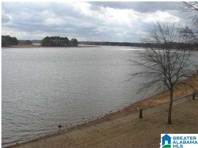 602 Paradise Isle, Unit 602 Riverside, AL 35135 - Photo 6 of 14