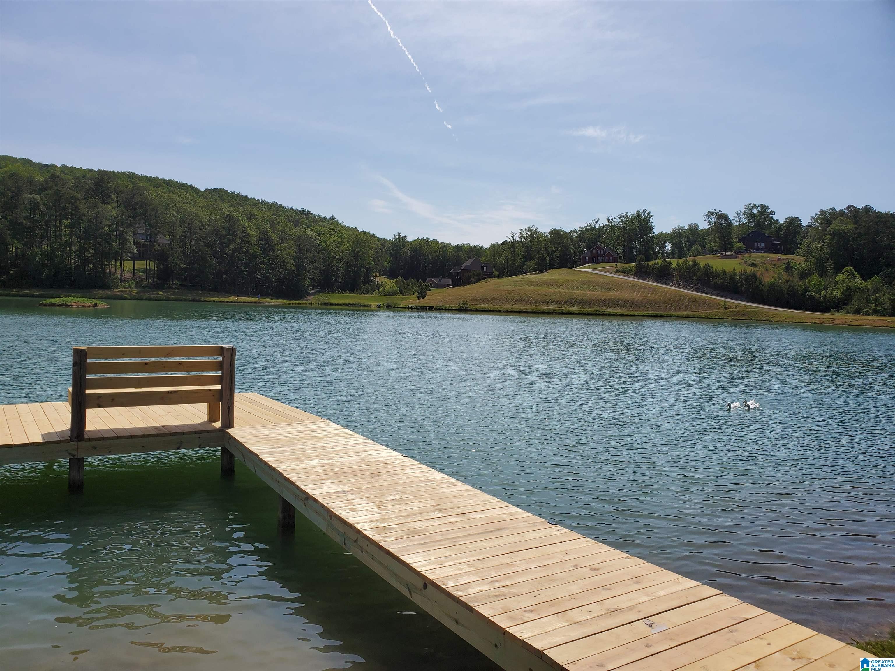 950 Redhawk Ridge, Unit 53 Springville, AL 35146 - Photo 4 of 5