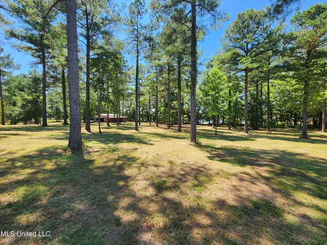 $99,000 | Bett Road, Coldwater, MS 38618