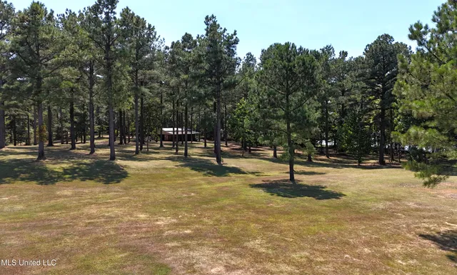 $99,000 | Bett Road, Coldwater, MS 38618