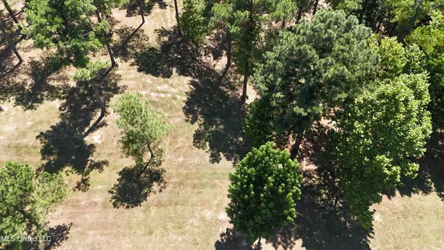 $99,000 | Bett Road, Coldwater, MS 38618