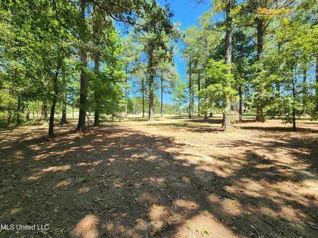 $99,000 | Bett Road, Coldwater, MS 38618