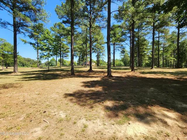$99,000 | Bett Road, Coldwater, MS 38618