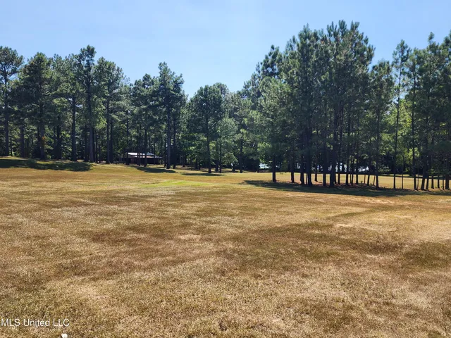 $99,000 | Bett Road, Coldwater, MS 38618