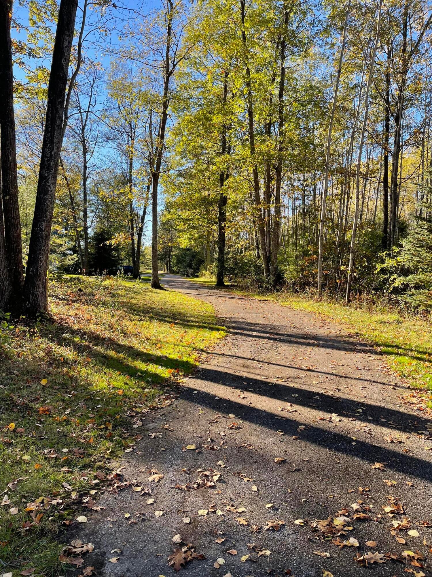 Unit #4 East Sucker Creek Road Spruce, MI 48762 - Photo 5 of 19 Gallery Image 5