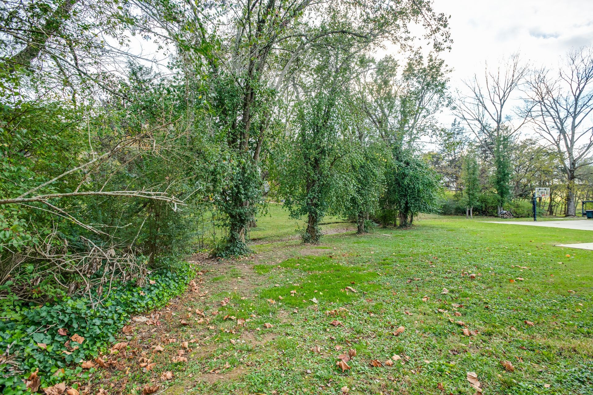 101 Pinehurst Drive Franklin, TN 37069 - Photo 39 of 41 a view of backyard with green space