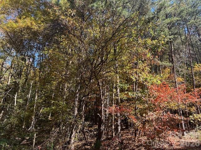 4294 South View Boulevard Morganton, NC 28655 - Photo 2 of 3