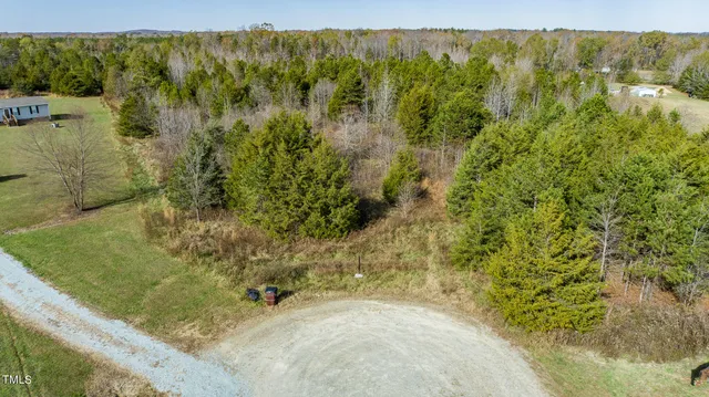a view of a forest with a lake