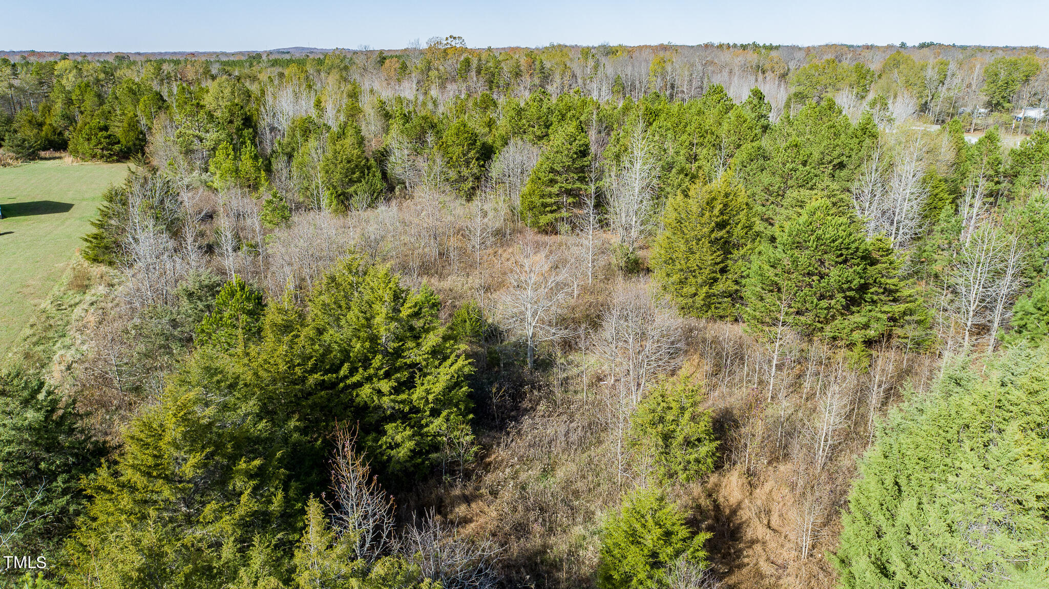 175 Glendale Lane Roxboro, NC 27574 - Photo 6 of 21 a view of a forest with a lake