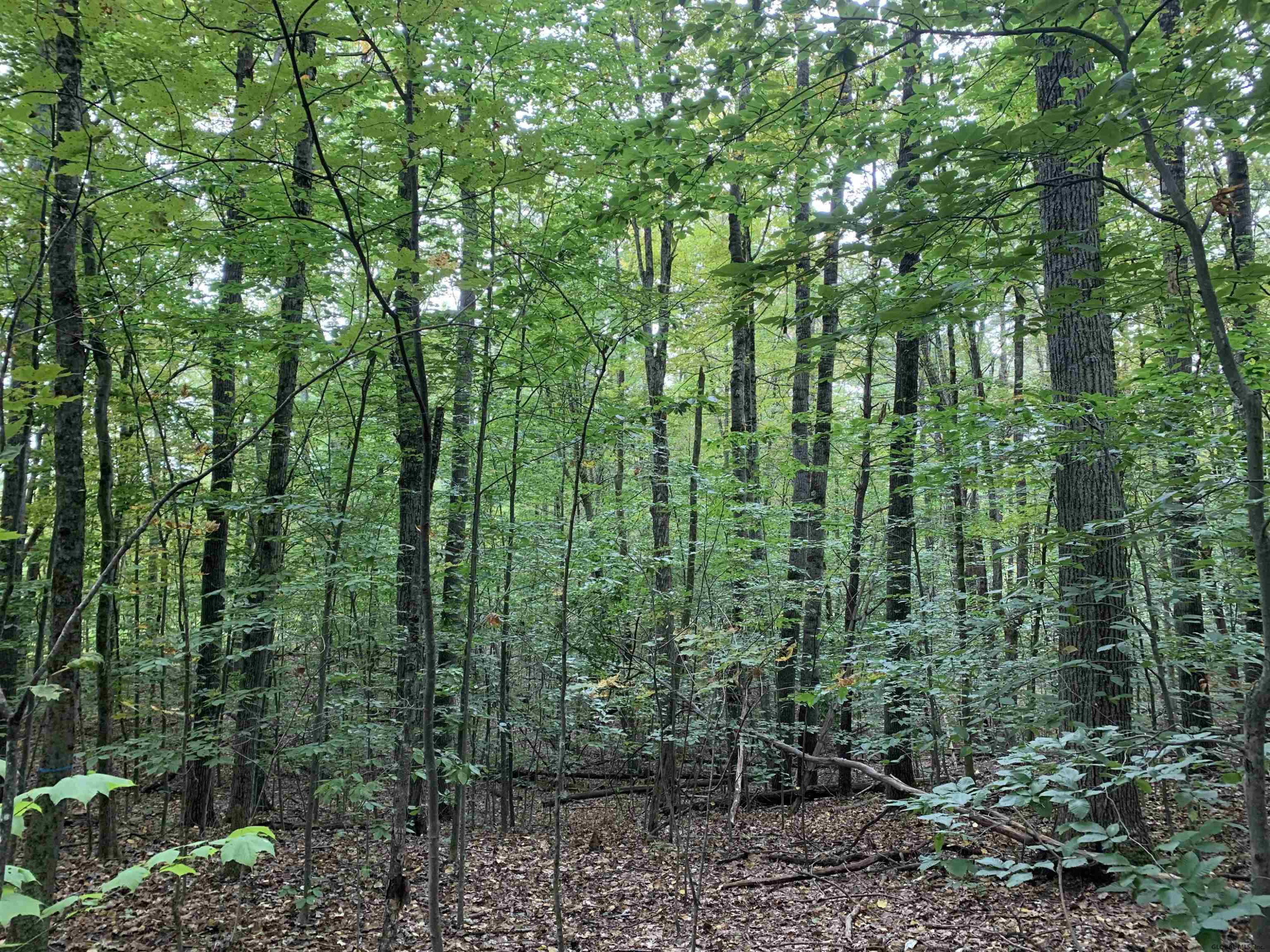 0 Priest Road Salem, NY 12865 - Photo 1 of 9 Photo 1