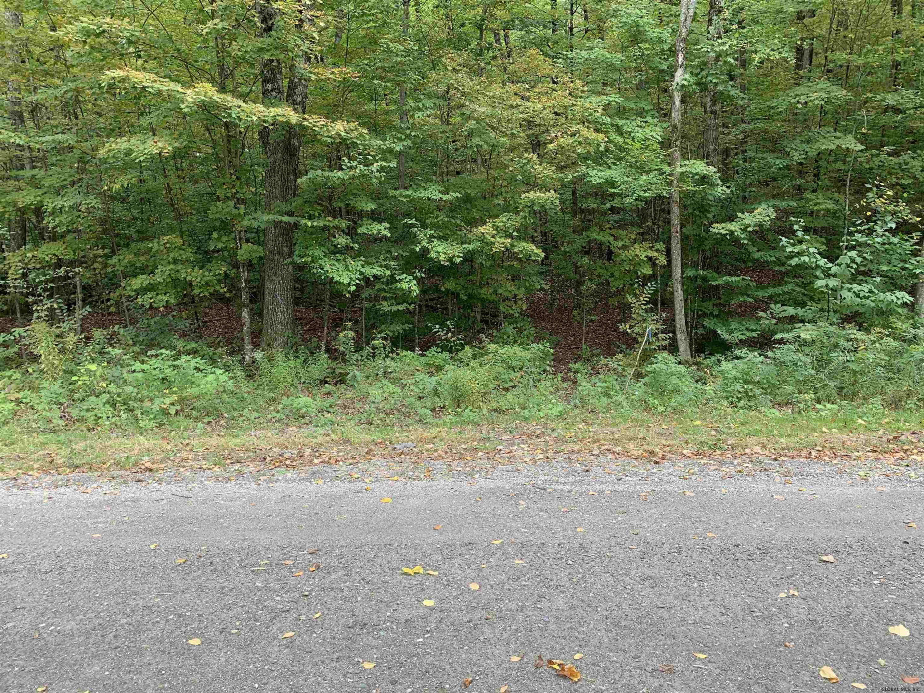 0 Priest Road Salem, NY 12865 - Photo 3 of 9 Photo 3