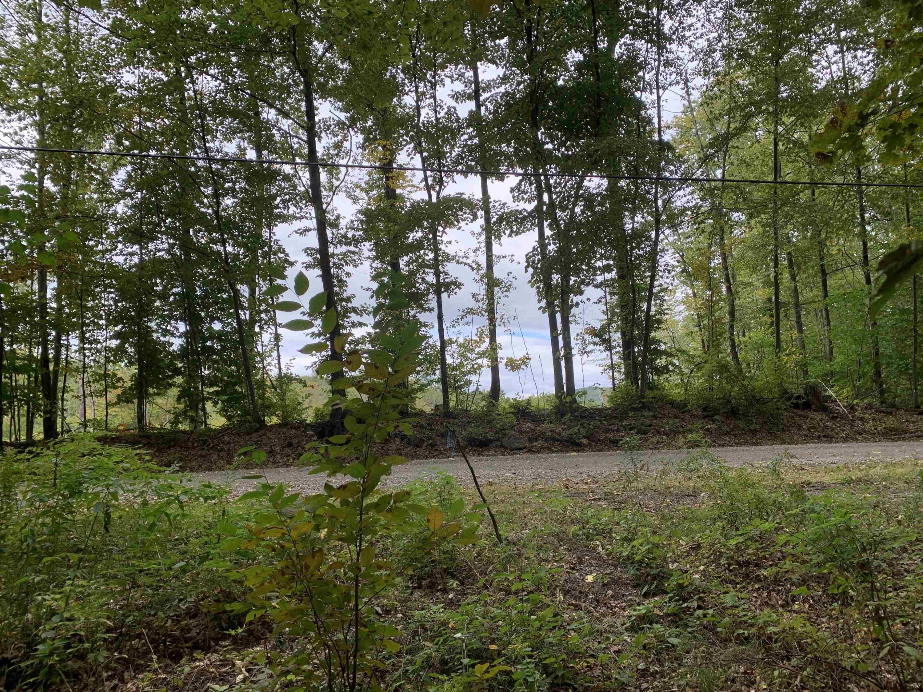 0 Priest Road Salem, NY 12865 - Photo 4 of 9 Photo 4