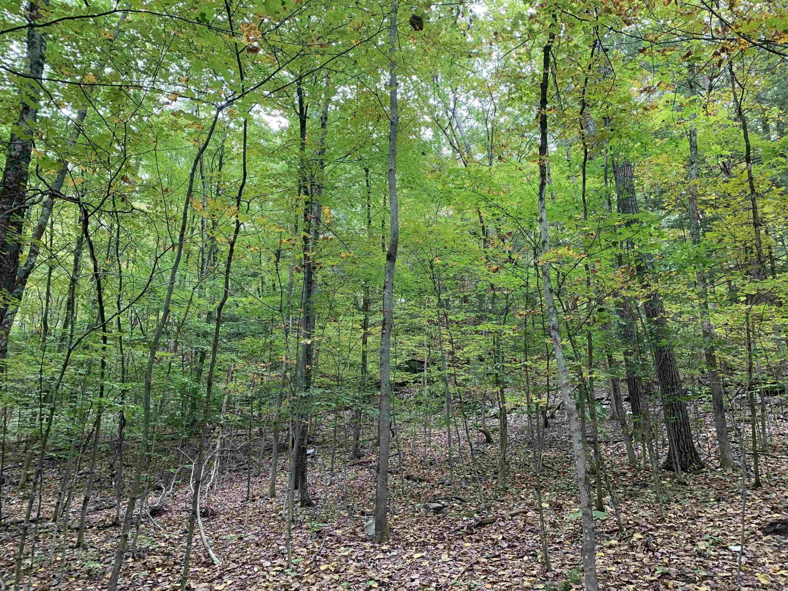 0 Priest Road Salem, NY 12865 - Photo 6 of 9 Photo 6