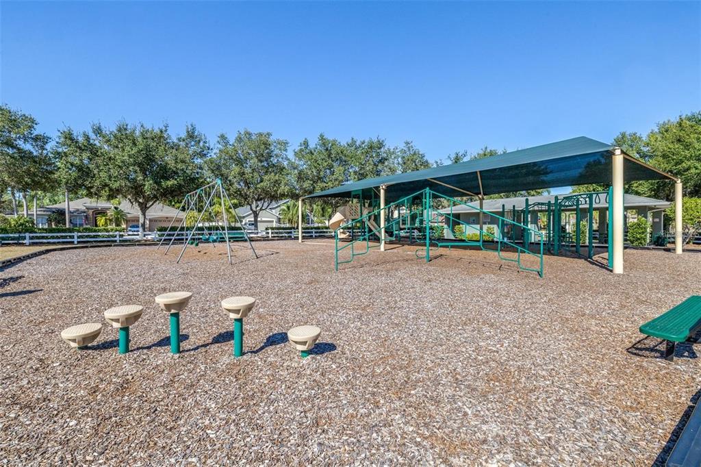 16641 Fairbolt Way Odessa, FL 33556 - Photo 41 of 53