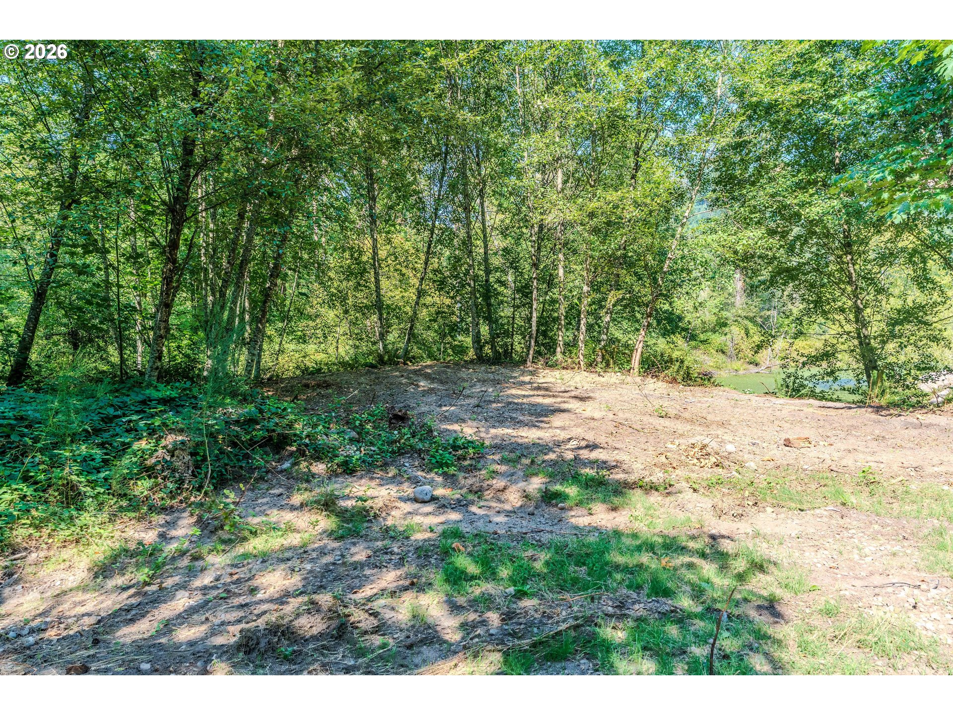 1 East Brightwood Loop Road Brightwood, OR 97011 - Photo 5 of 16
