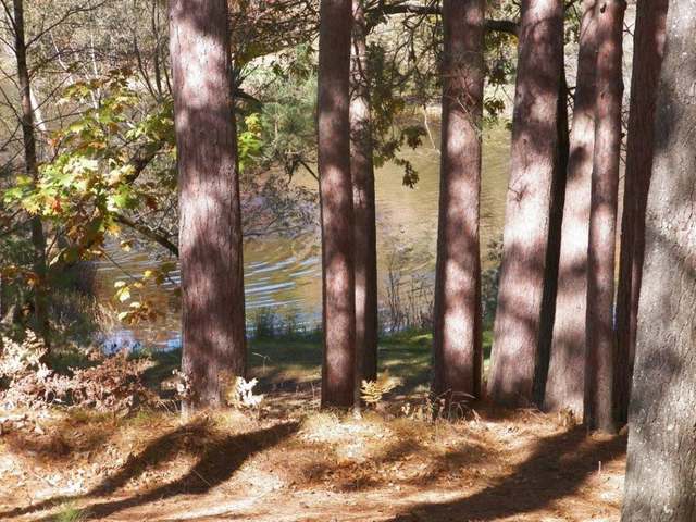 8521 Hower Road, Unit 8 Minocqua, WI 54548 - Photo 16 of 17 Gallery Image 16