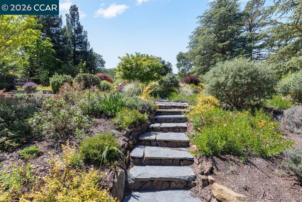 26 Rio Del Court Danville, CA 94526 - Photo 41 of 60