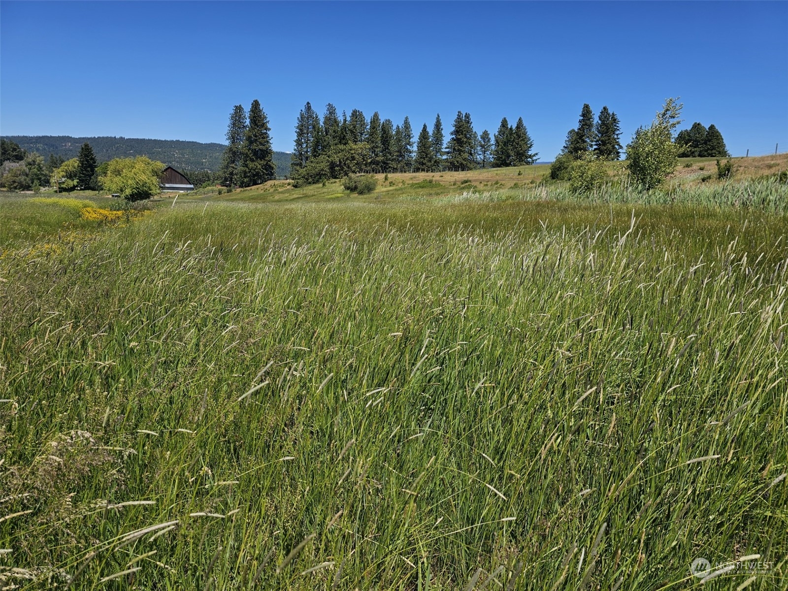 2 Iron Mountain Road Cle Elum, WA 98922 - Photo 4 of 18 Gallery Image 4