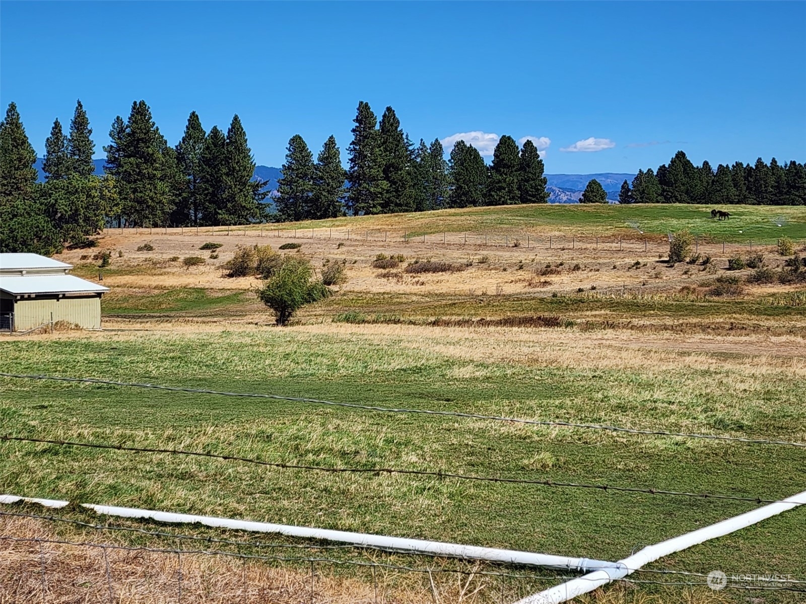 2 Iron Mountain Road Cle Elum, WA 98922 - Photo 8 of 18 Gallery Image 8