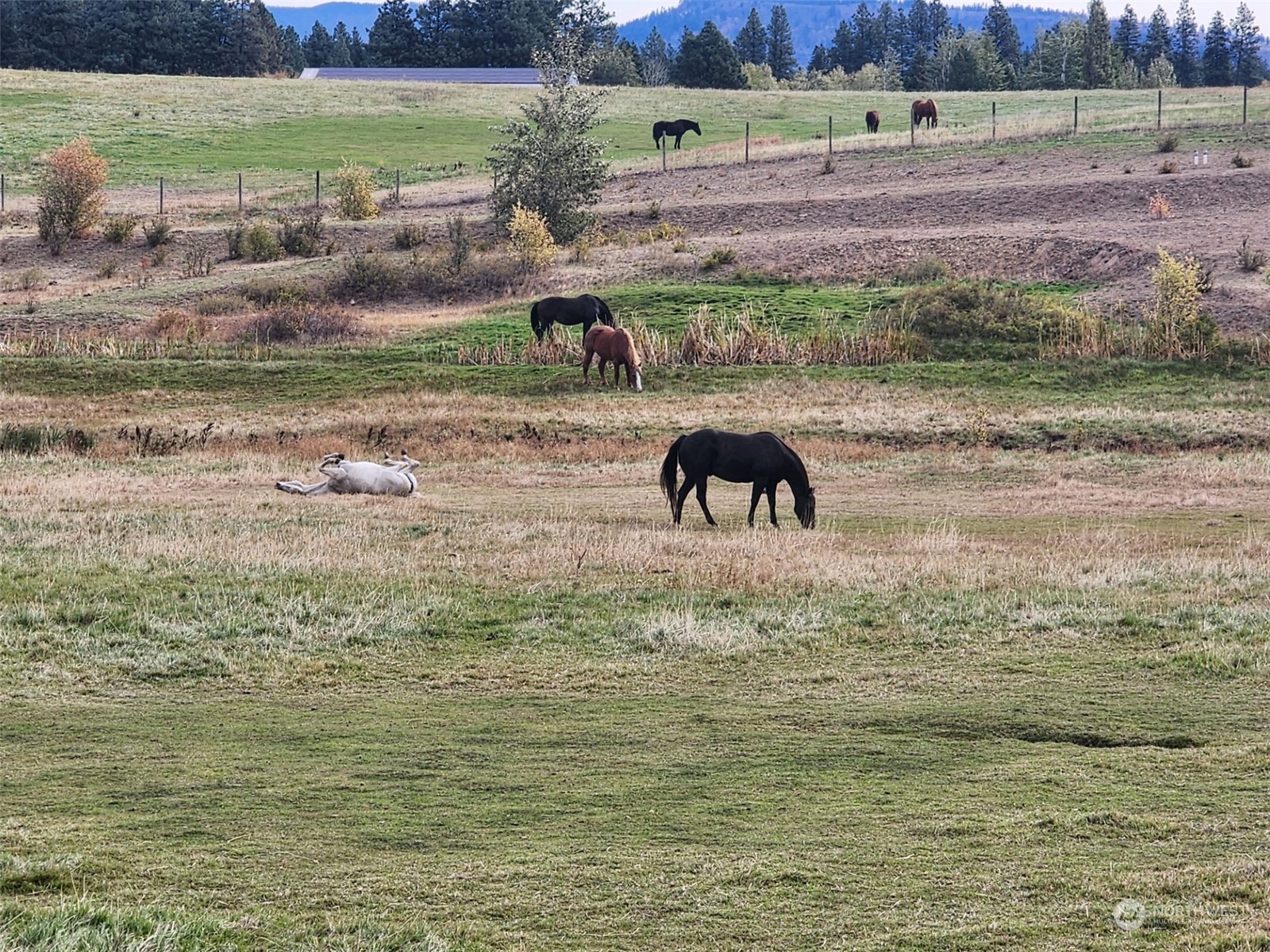 2 Iron Mountain Road Cle Elum, WA 98922 - Photo 9 of 18 Gallery Image 9