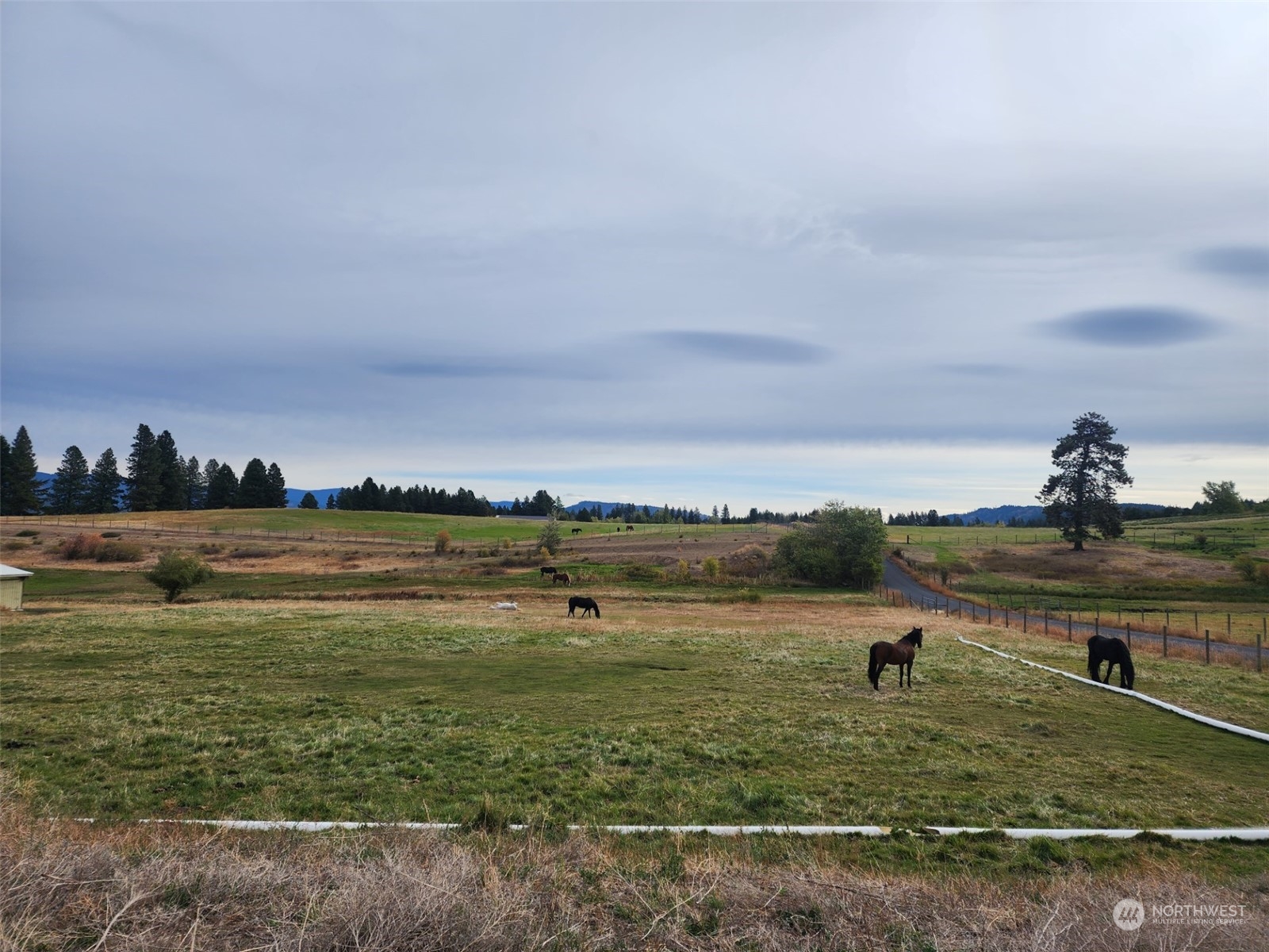 2 Iron Mountain Road Cle Elum, WA 98922 - Photo 10 of 18 Gallery Image 10