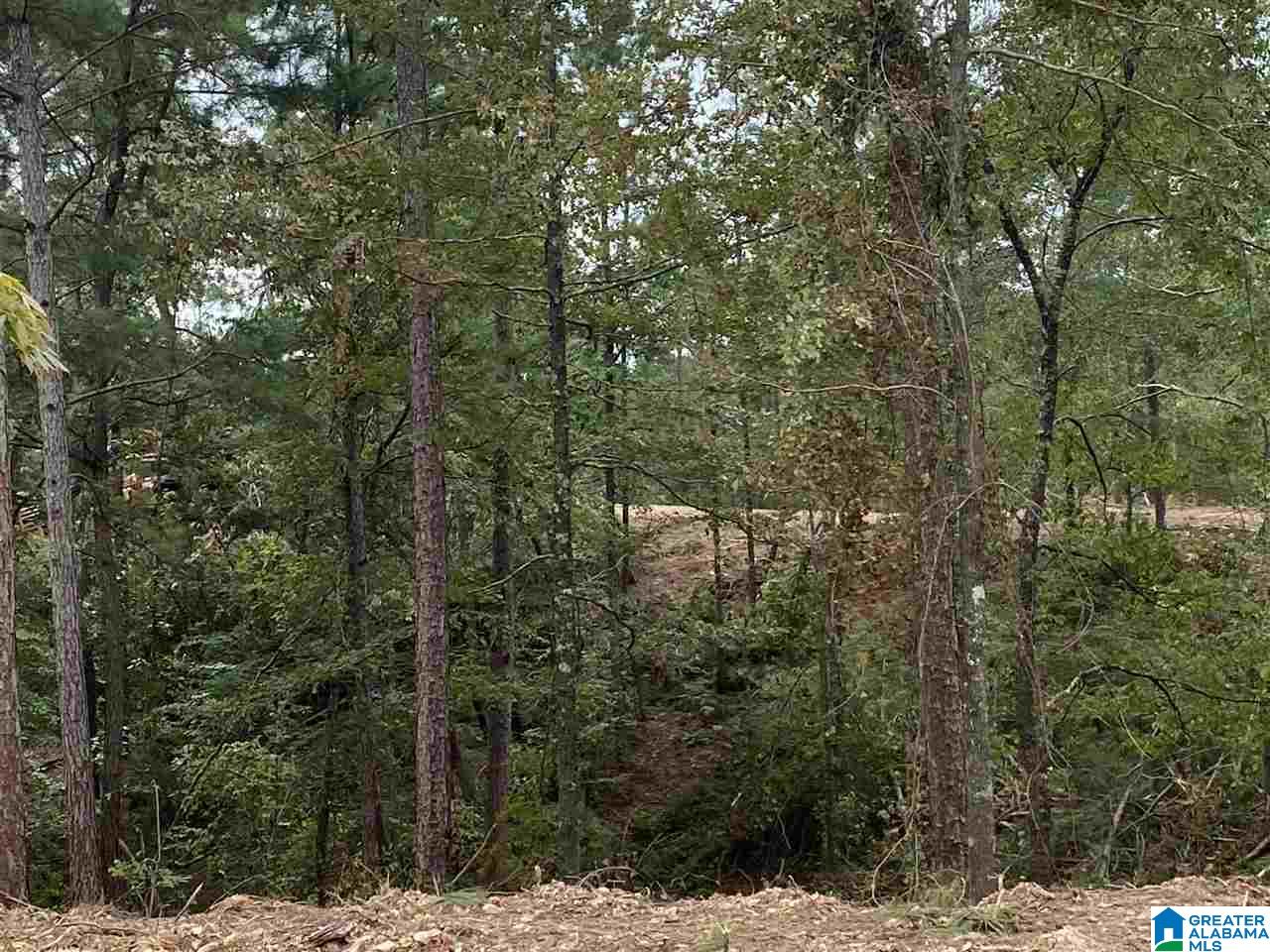 0 County Road 199, Unit 19 / ACRES Clanton, AL 35046 - Photo 17 of 17