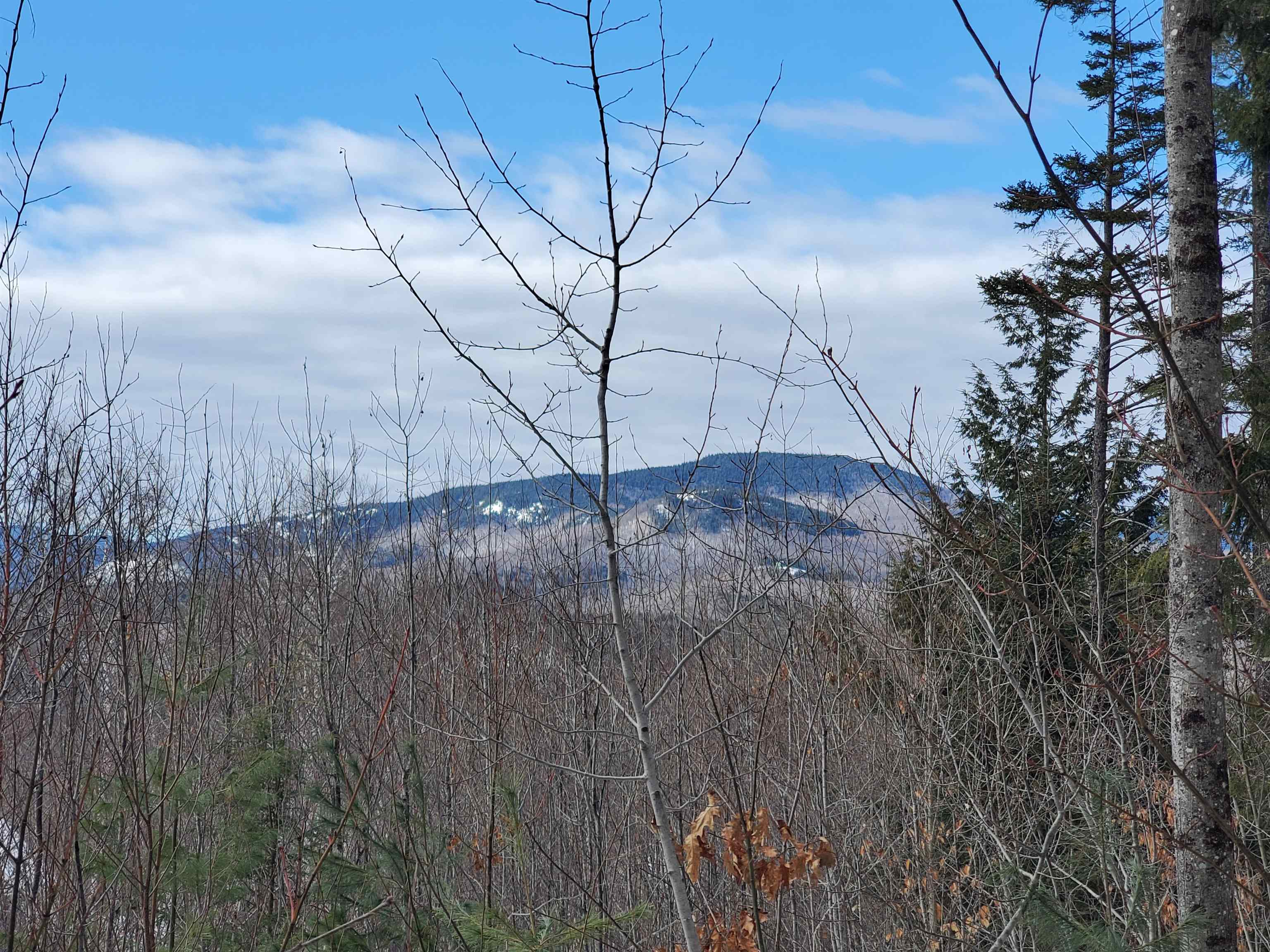 0 Tin Mine Road, Unit V082503 Jackson, NH 03846 - Photo 25 of 38 Gallery Image 25