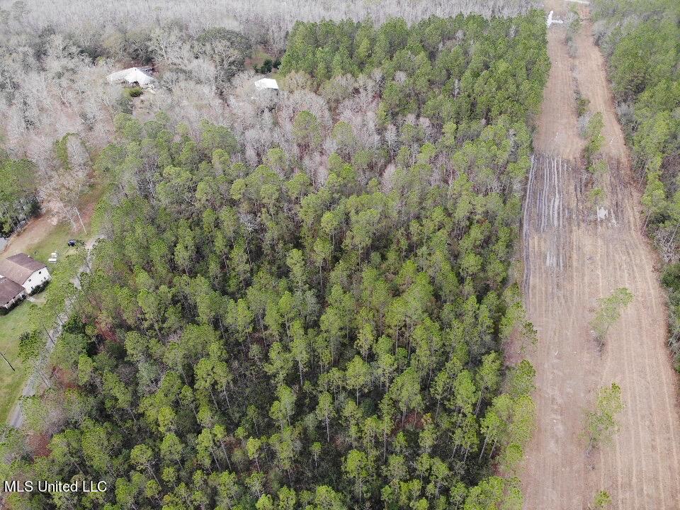0 Saracennia Road Moss Point, MS 39563 - Photo 2 of 11 IMG_5128