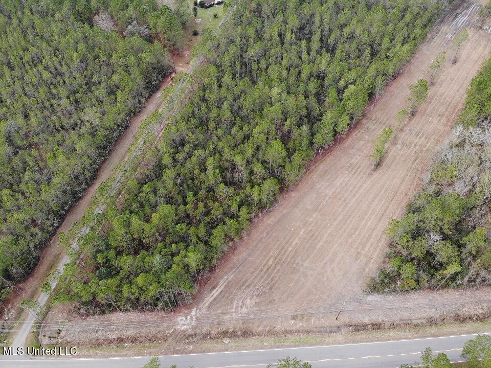 0 Saracennia Road Moss Point, MS 39563 - Photo 4 of 11 IMG_5141