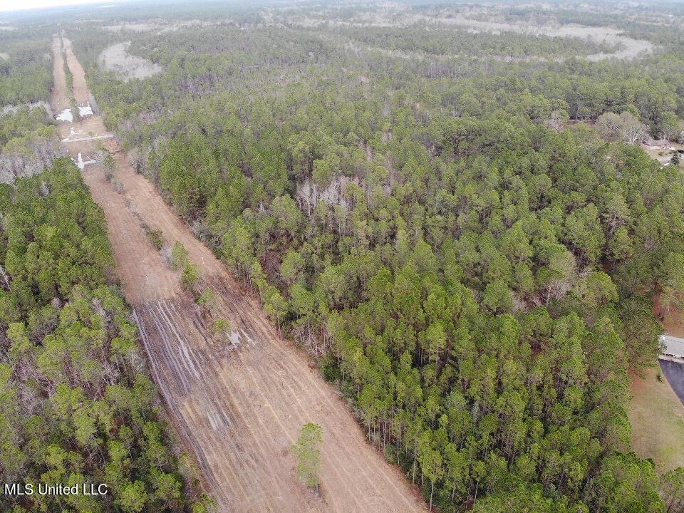 0 Saracennia Road Moss Point, MS 39563 - Photo 6 of 11 IMG_5127