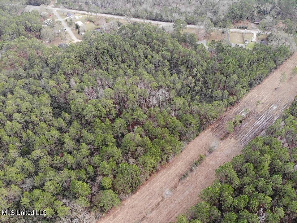 0 Saracennia Road Moss Point, MS 39563 - Photo 7 of 11 IMG_5120